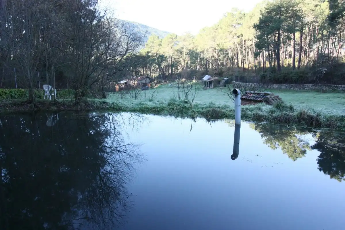 Piscina de Finca rústica en venda en Santa Cruz del Valle amb Internet