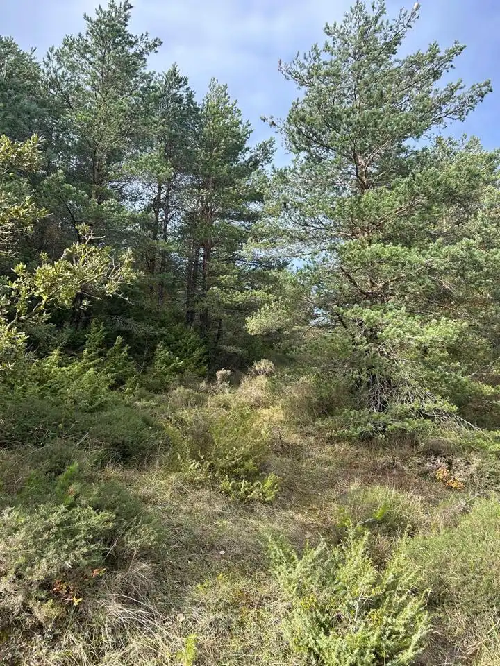 Land for sale in Kuartango