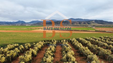 SE VENDE PARCELA DE 22.650M2 CON CASA LEGALIZADA, POZO PROPIO LEGALIZADO, OLIVAR, A 10 MIN DE ANTEQUERA.
