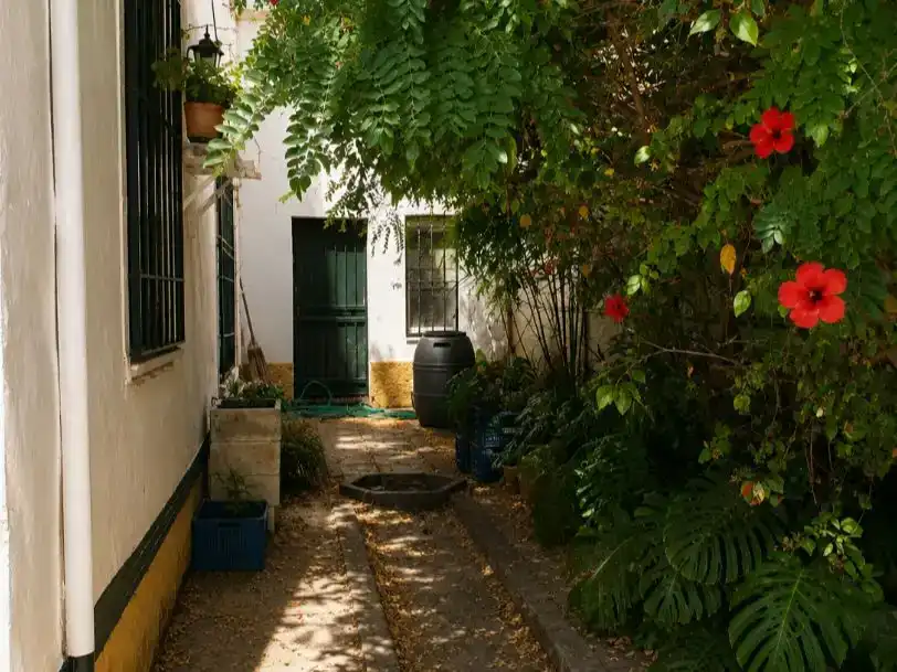 Exterior view of Flat for sale in Sevilla  with Private garden