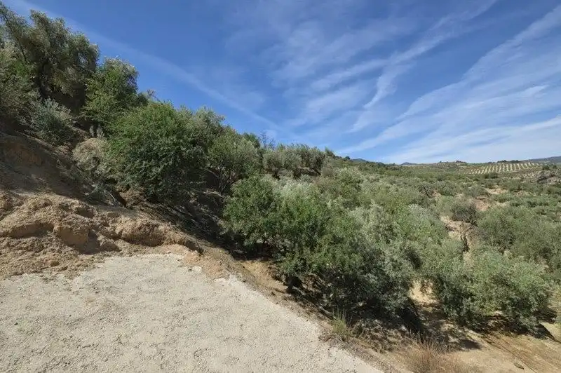 Terreno rustico in vendita a El Valle, imagen 10