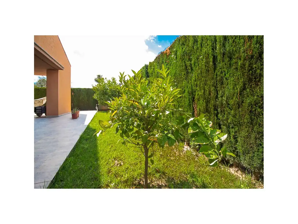 Jardín de Casa o chalet en venta en L'Alcúdia con Aire acondicionado, Jardín privado y Terraza