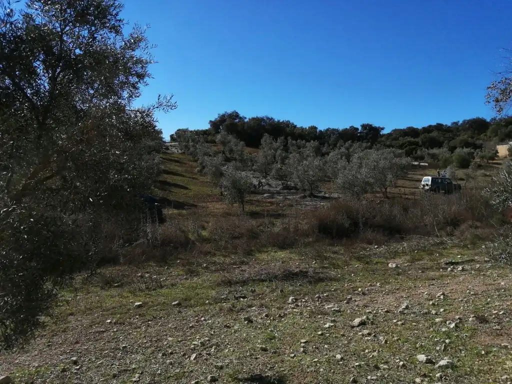 Residential for sale in Morón de la Frontera
