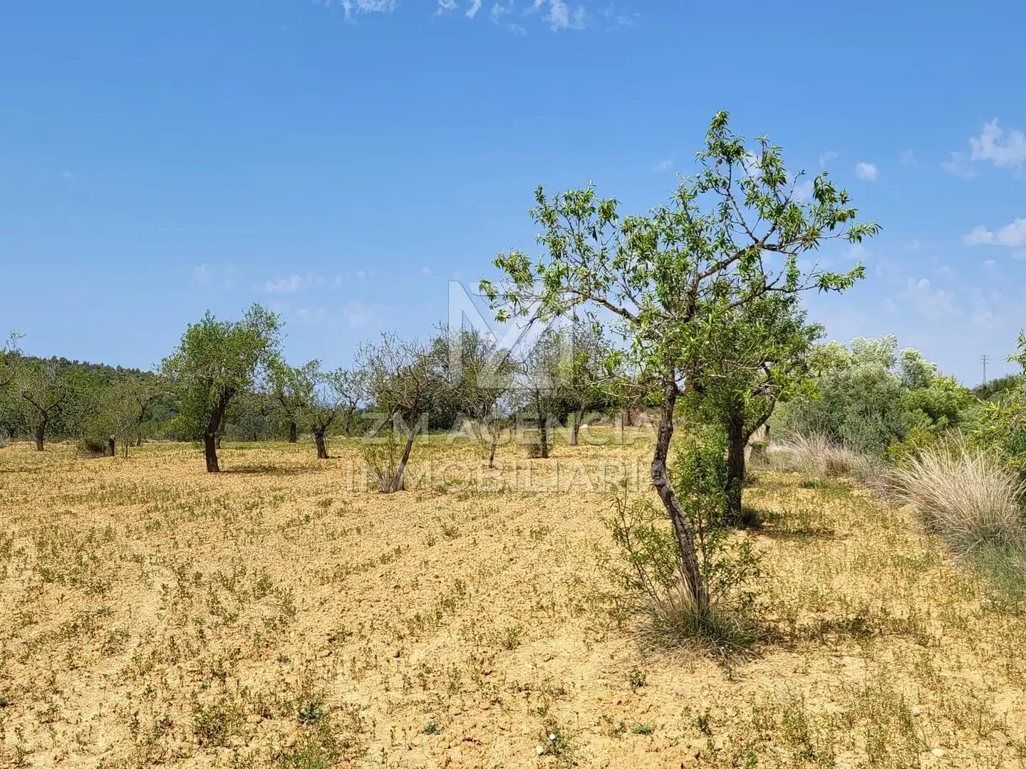 Terreno rustico in vendita a Traiguera, imagen 2