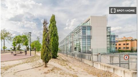 Photo 4 of Apartment to share in Europolis, Las Rozas de Madrid