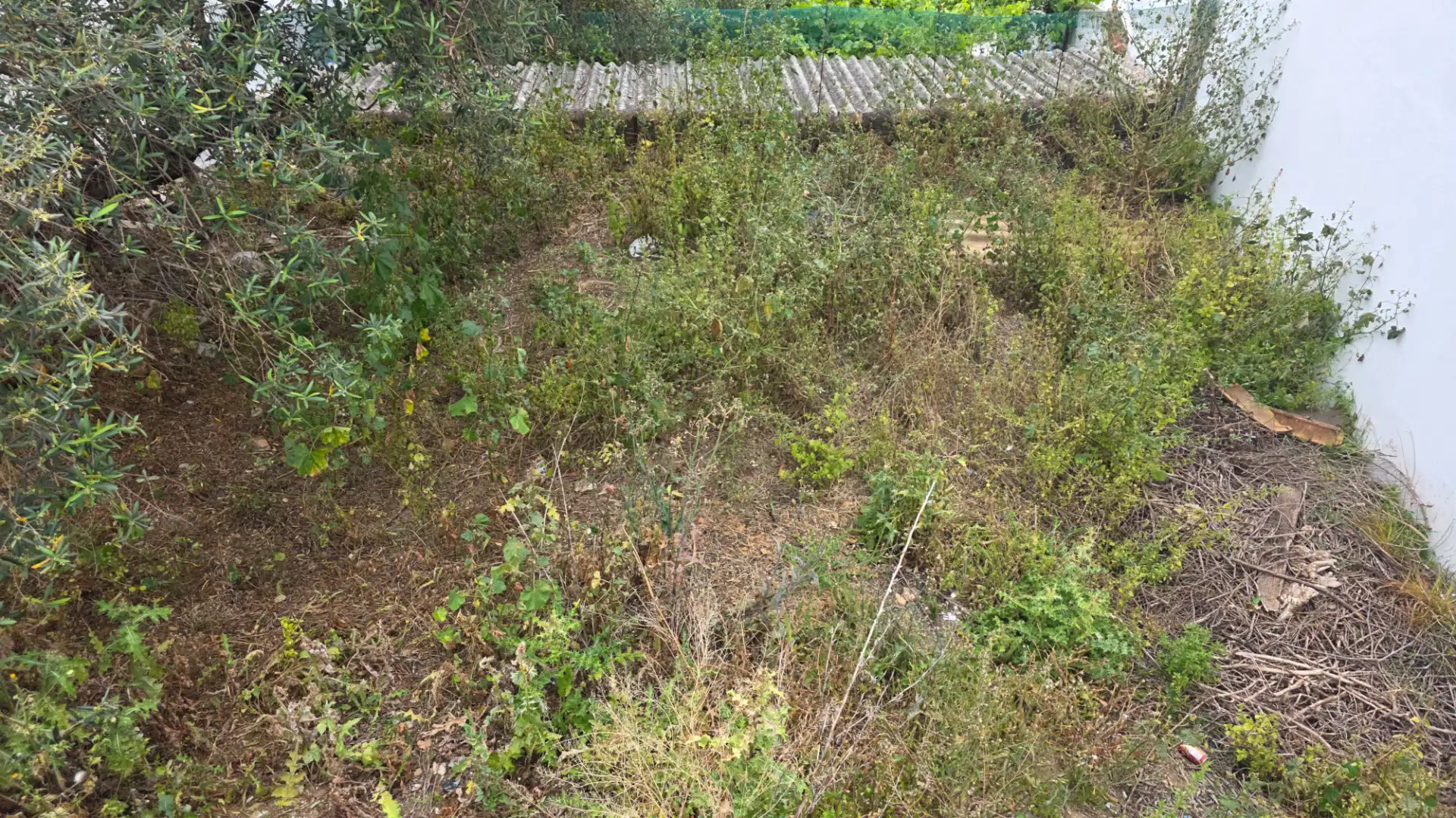 Residential land for sale in Grazalema, imagen 5