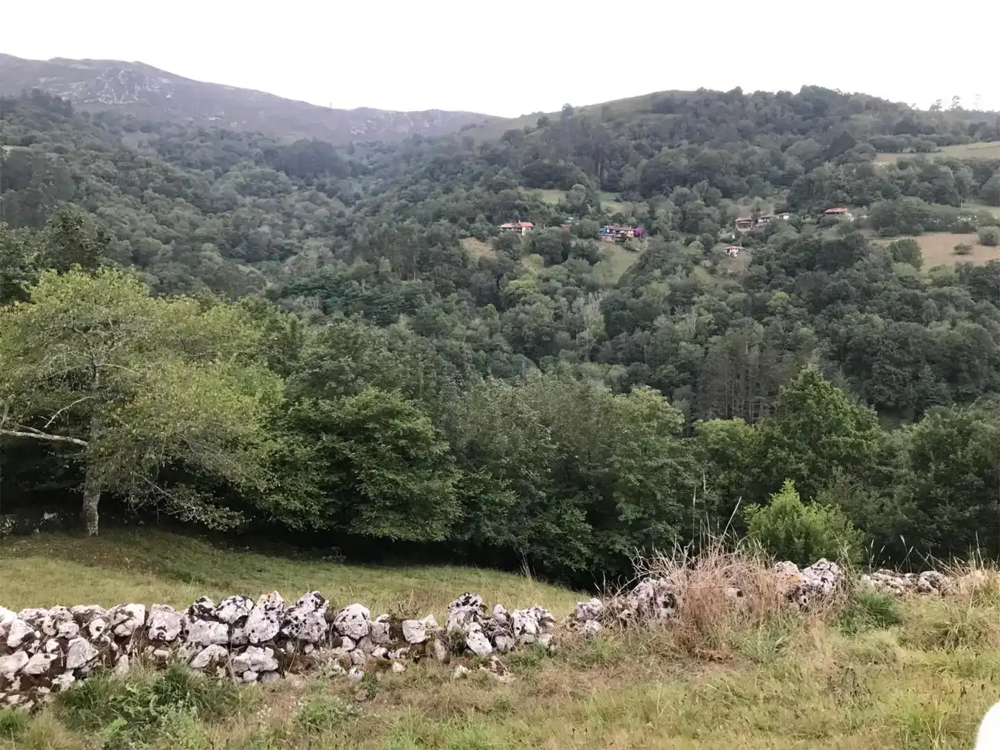 Finca rústica en venda en Piloña