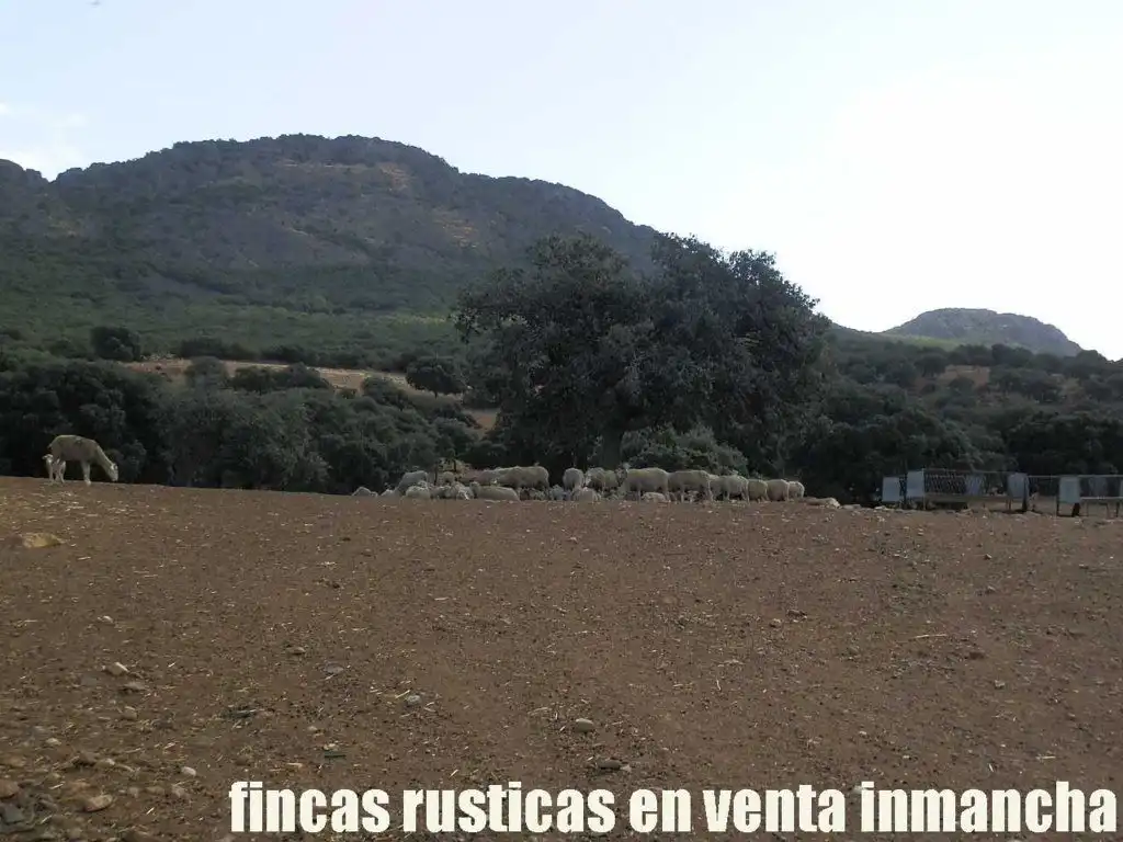 Terreni e lotti in vendita a Peñalsordo, imagen 6