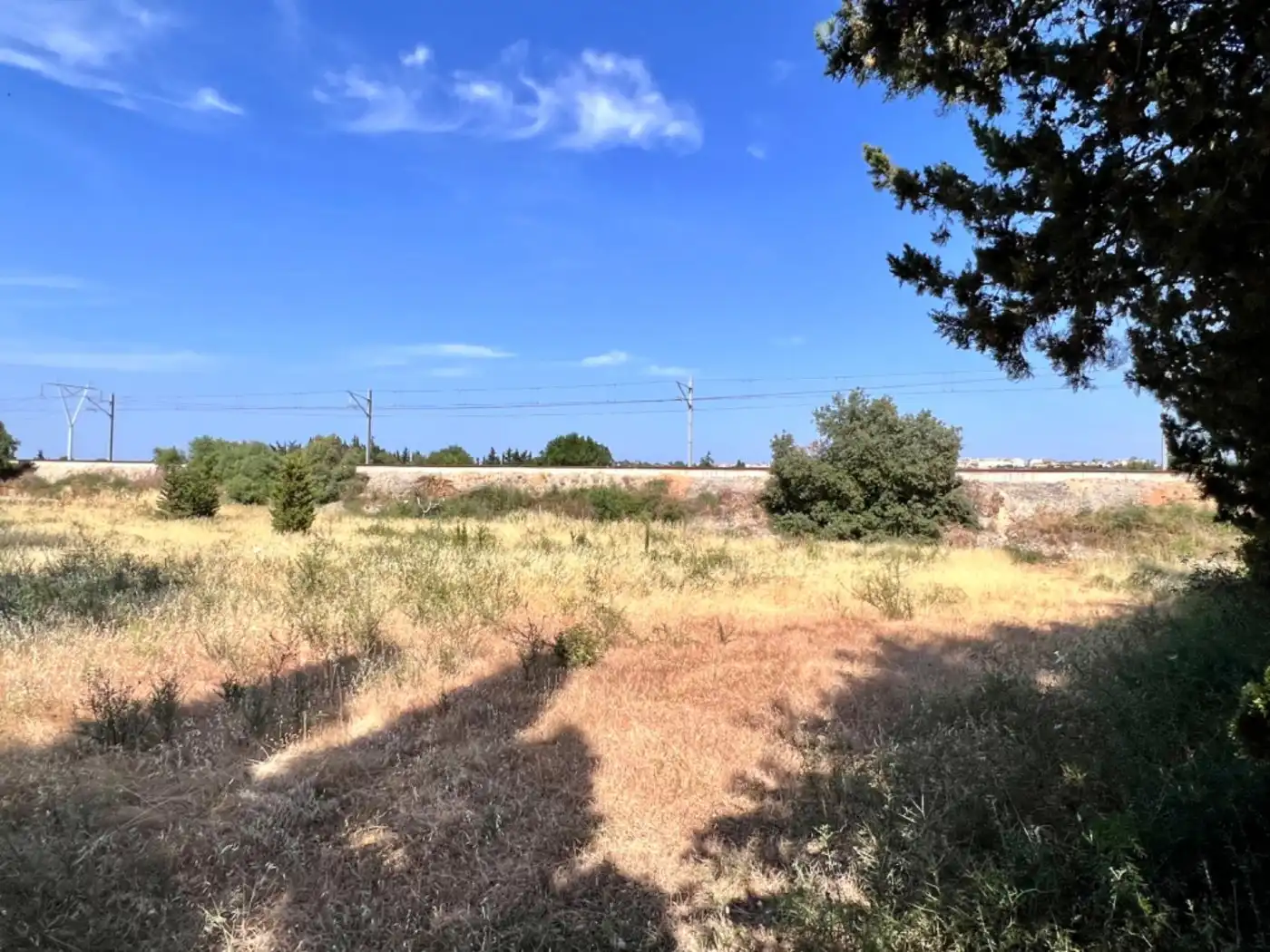 Maison rustique à vendre à Muro, imagen 6