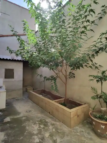 Jardí de Casa o xalet en venda en Aielo de Malferit amb Aire condicionat, Calefacció i Terrassa