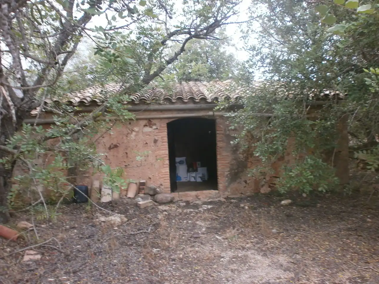 Terreny rústic en venda a Avinguda de Reus, imagen 12