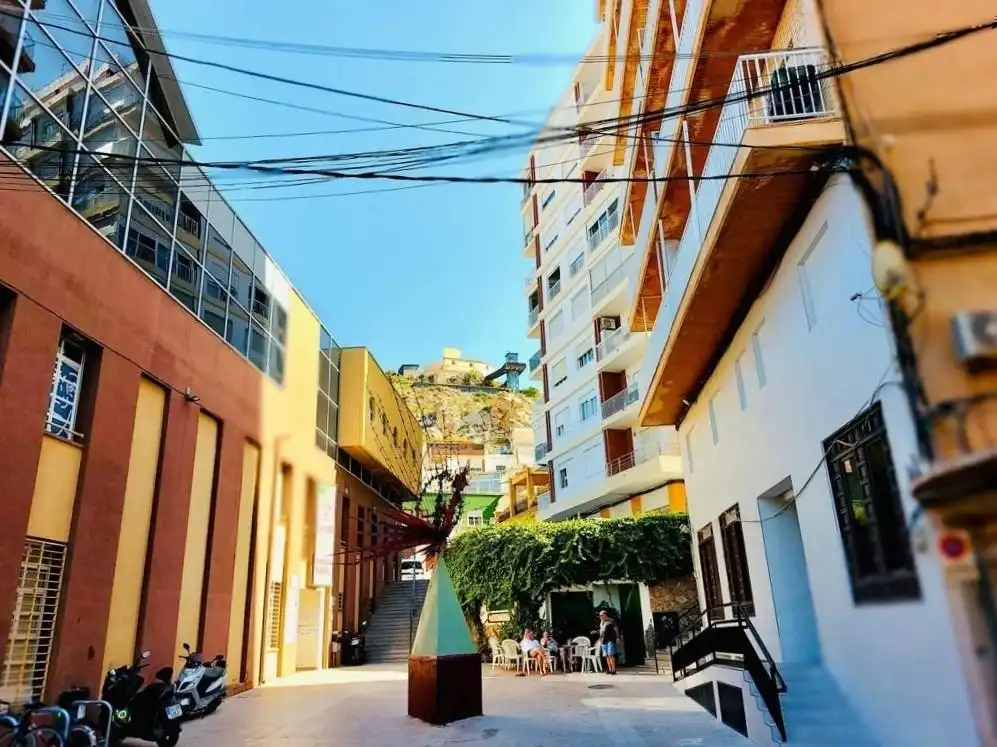 Maison avec terrasse à vendre à Casco Antiguo, imagen 48