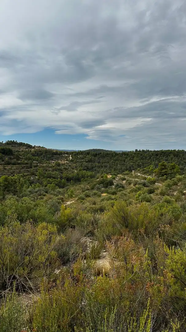 Terreny rústic en venda a Cervià de Les Garrigues, imagen 19