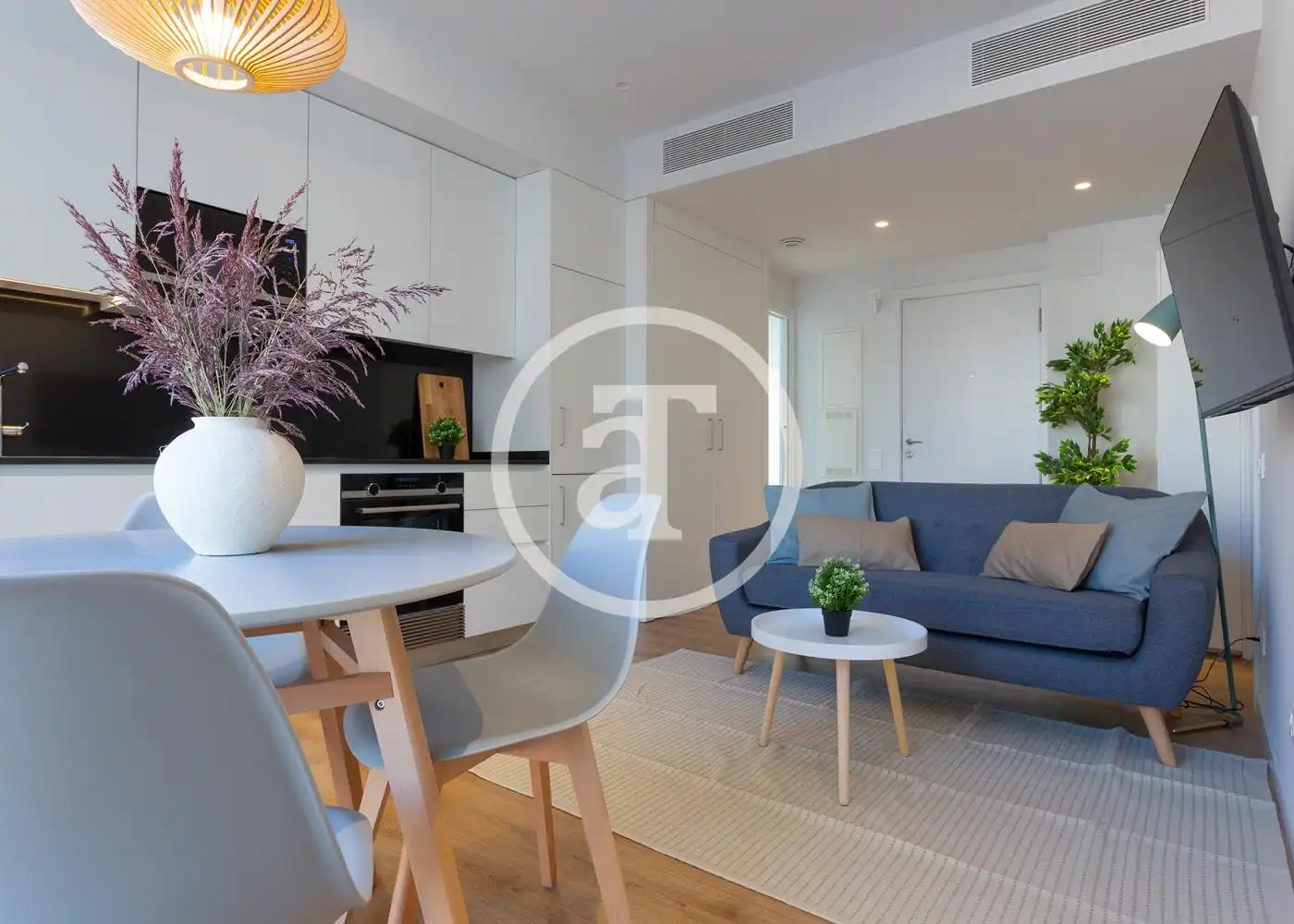 Living room of Flat for rent in Barcelona  with Air Conditioner, Heating and Furnished