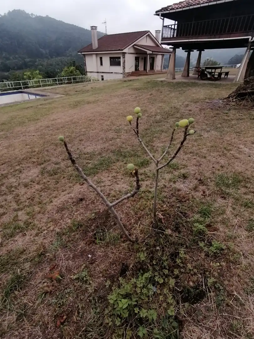Haus zum Verkauf in Rural, imagen 47