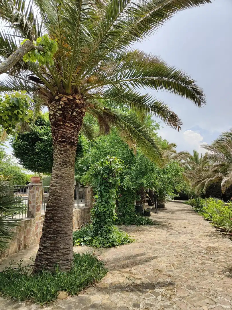 Jardín de Casa o chalet en venta en Brazatortas con Aire acondicionado, Calefacción y Jardín privado