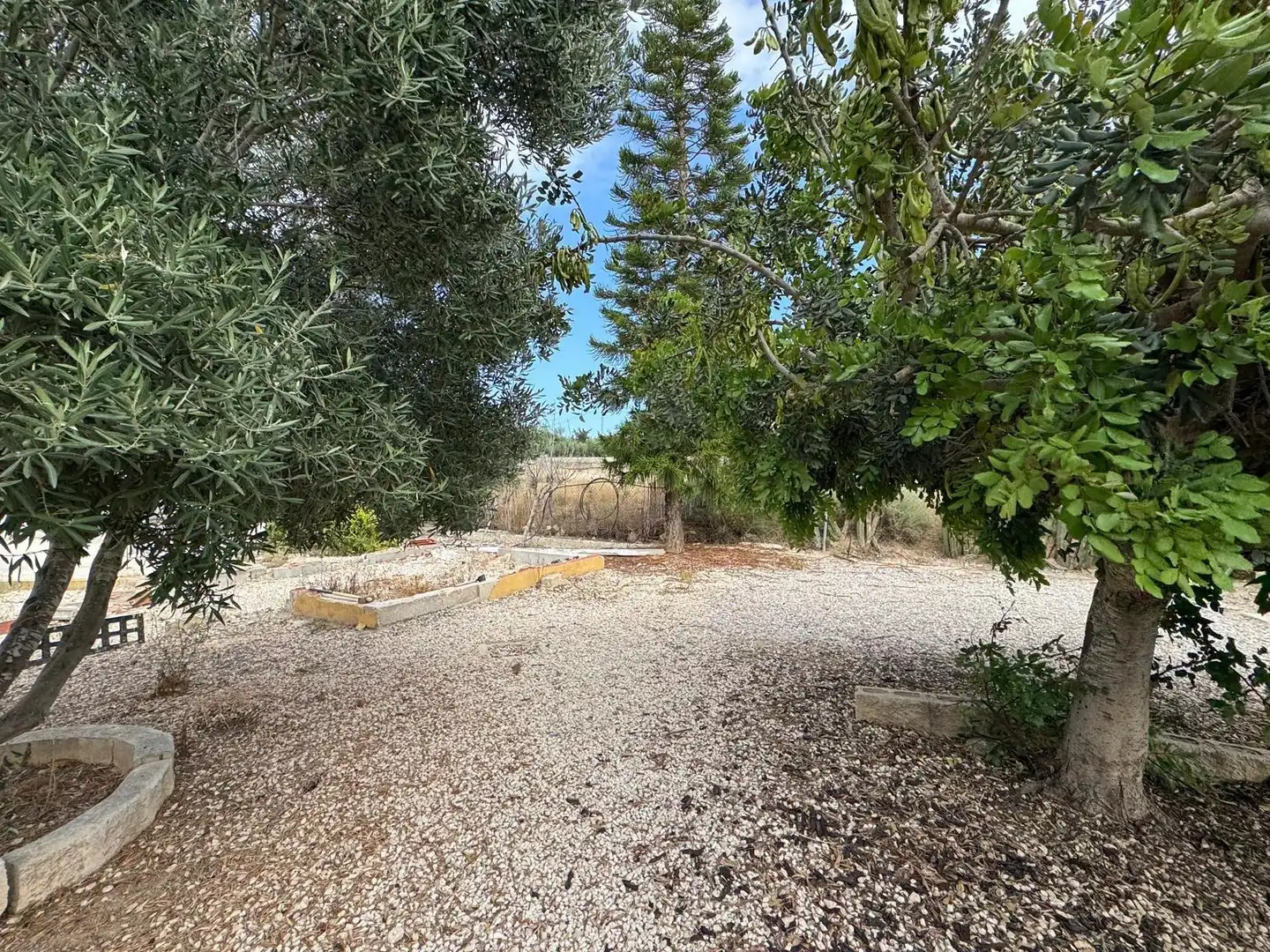 Haus mit Pool zum Verkauf in La Marina, imagen 17