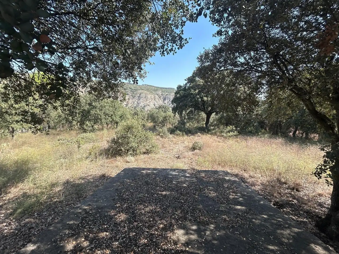 Terrenos y solares en venta en Hontoba, imagen 5