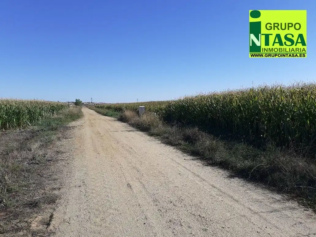Terreni e lotti in vendita a Área Rural