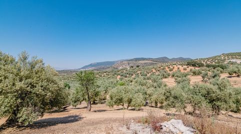 Foto 2 de Finca rústica en venta en Polígono Polígono 9 Parcela 130 Herradores. Illora, Íllora, Granada