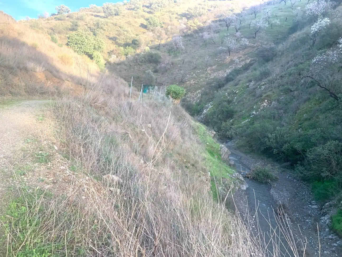 Finca rústica en venda en Sedella amb Jardí privat, Terrassa i Traster
