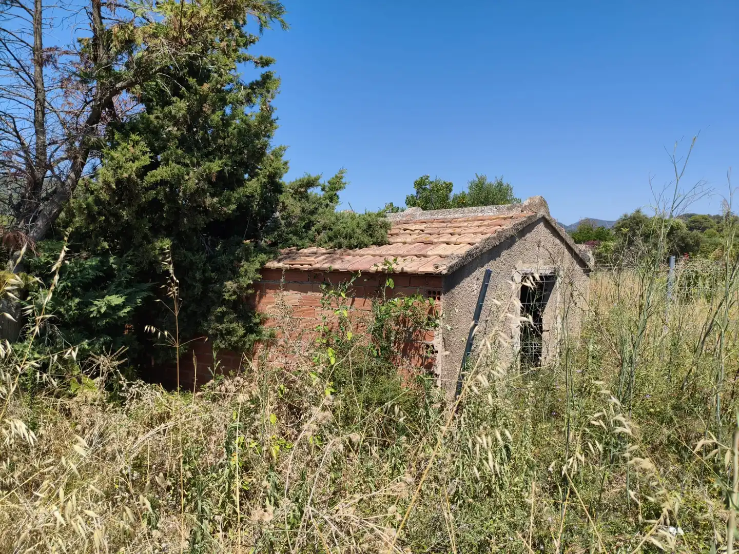 Vista exterior de Terreno en venta en Riudecols