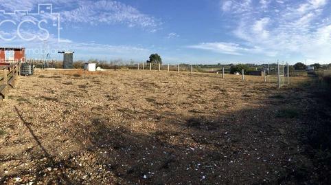 Photo 3 of Country house for sale in Rociana del Condado, Huelva