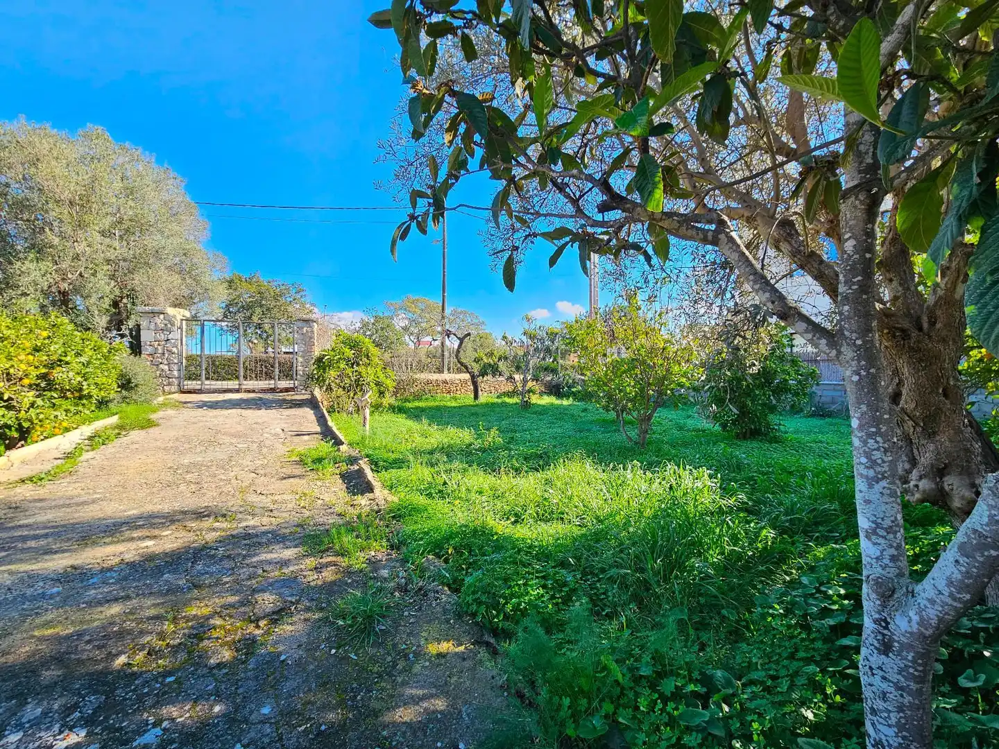 Chalet en venta en Son Amonda - Reis Catòlics, imagen 26