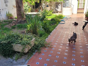 Casa in vendita a Calle Antonio Maura
