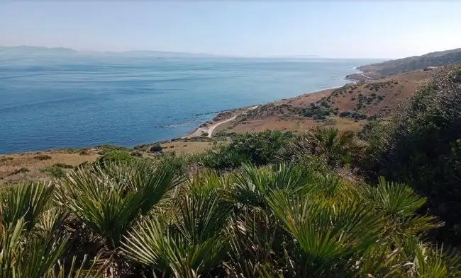 Finca rústica en venda en Tarifa
