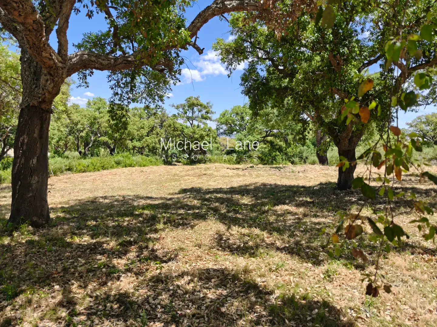 Terreni e lotti in vendita a Sotogrande Alto, imagen 2