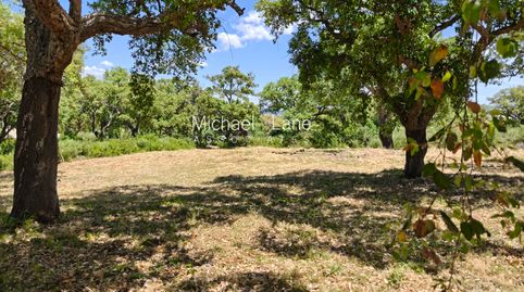 Foto 2 de Residencial en venta en San Roque Club, Sotogrande