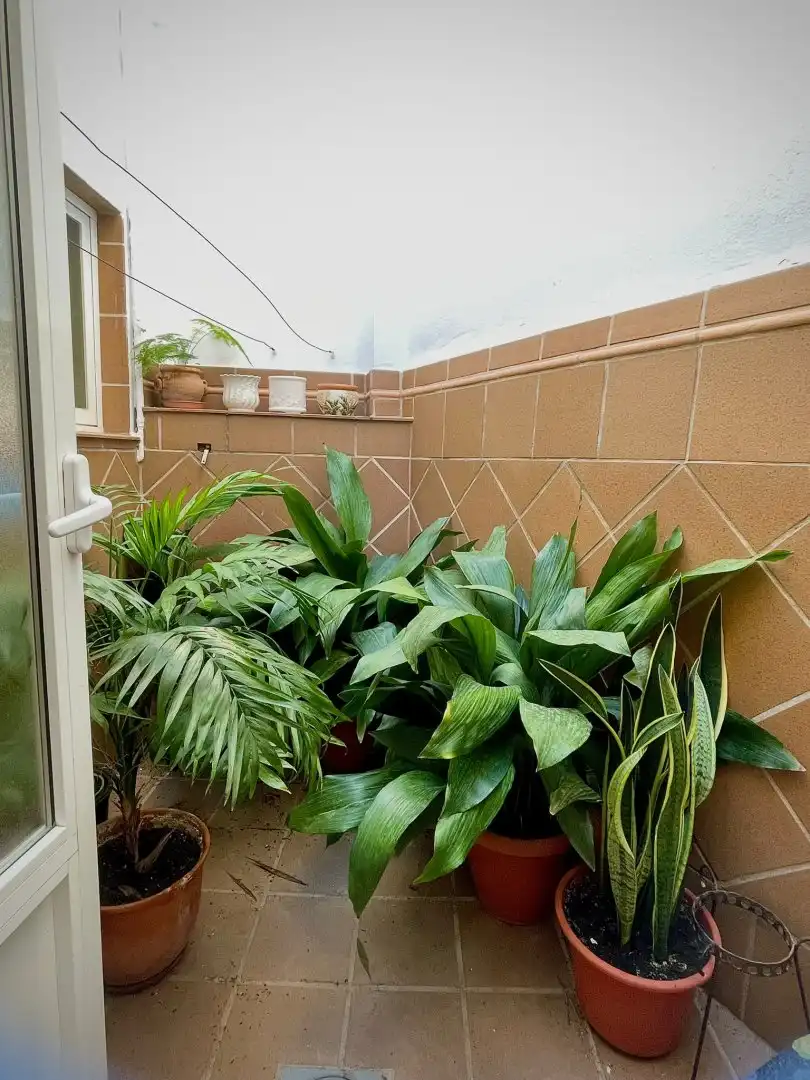 House for sale in Centro, imagen 8