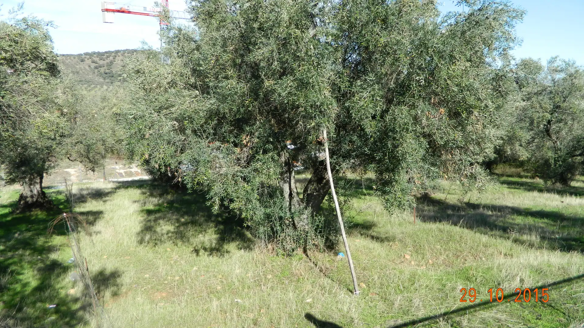 Terreno residencial en venta en N/A, imagen 8