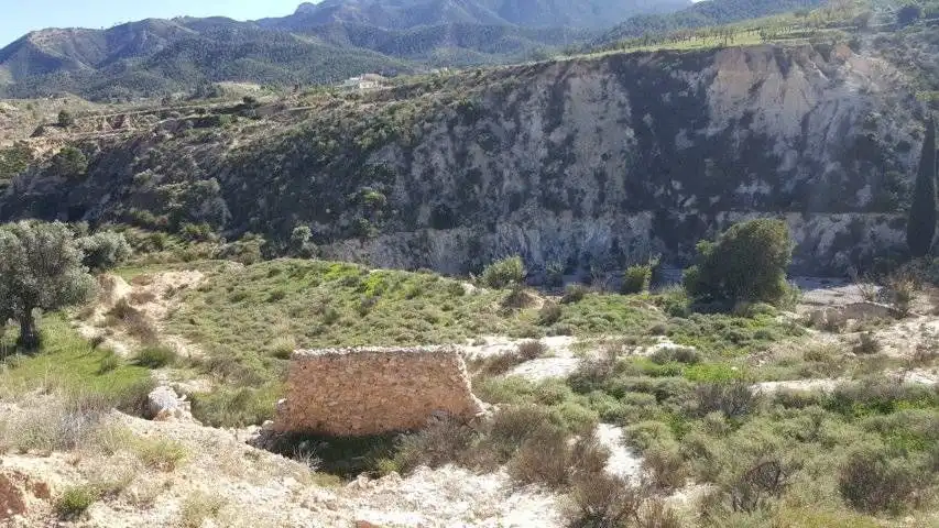 Finca rústica en venta en Ricote