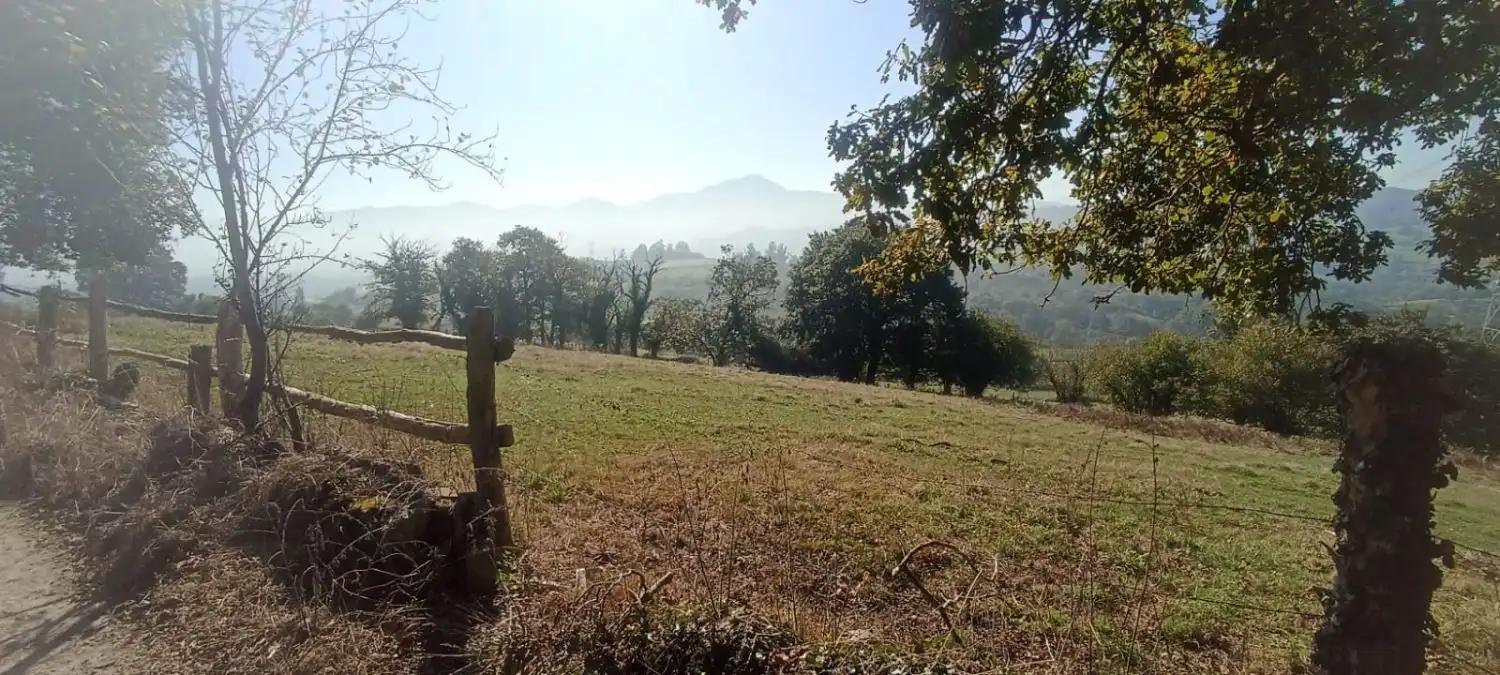 Finca rústica en venta en Nava