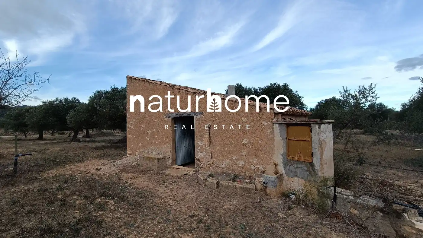 Terrain rustique à vendre à Rasquera