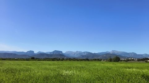 Foto 3 de Finca rústica de alquiler en Binissalem, Illes Balears