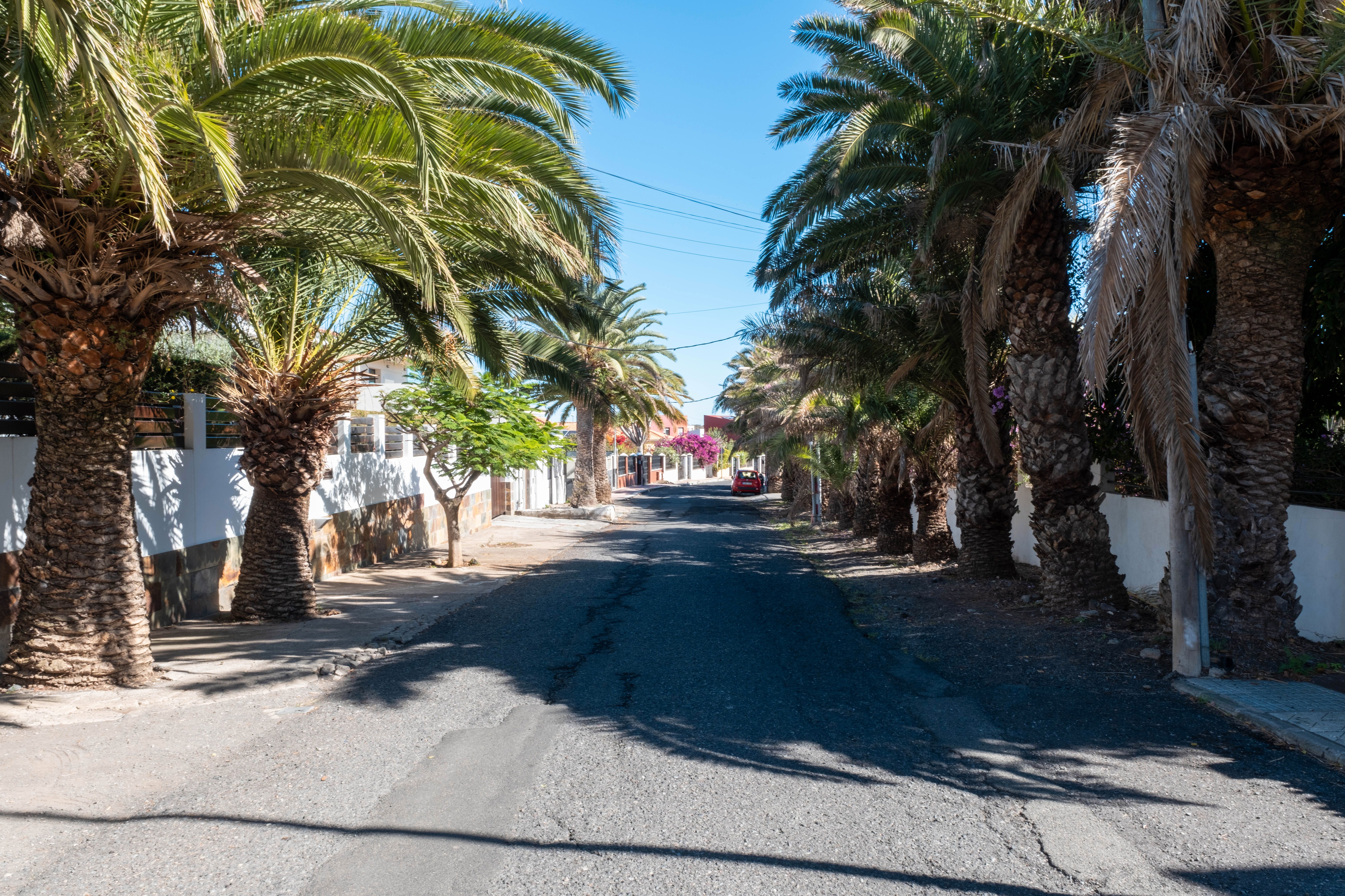 Vista exterior de Casa o xalet en venda en Las Palmas de Gran Canaria amb Jardí privat, Terrassa i Traster