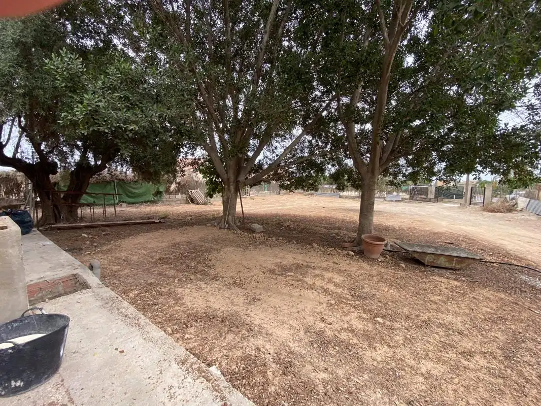 Casa o xalet en venda en Elche / Elx amb Calefacció, Jardí privat i Terrassa