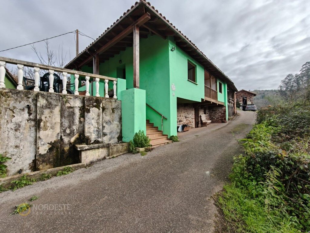 Exterior view of Country house for sale in Villaviciosa