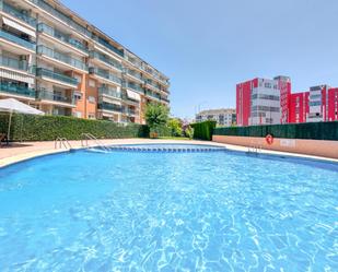 Swimming pool of Flat to rent in Gandia  with Air Conditioner