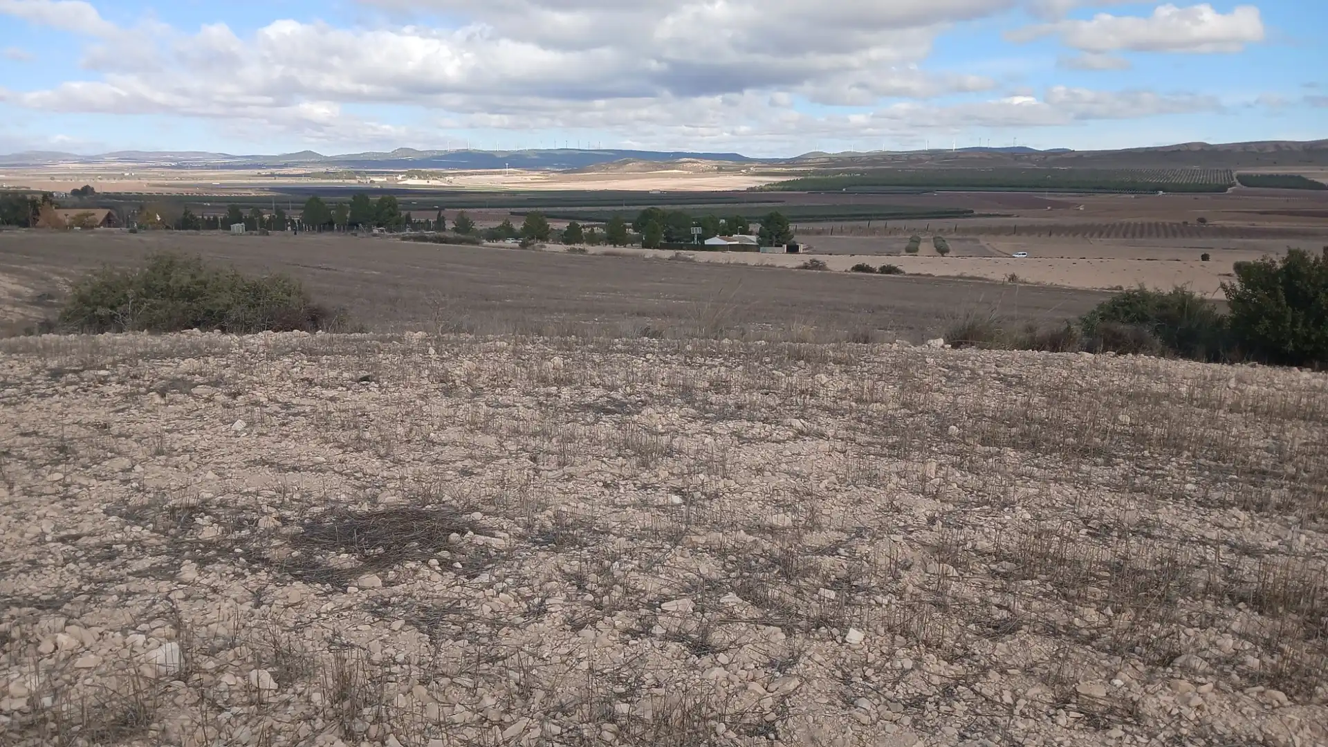 Residential land for sale in Yecla, imagen 7