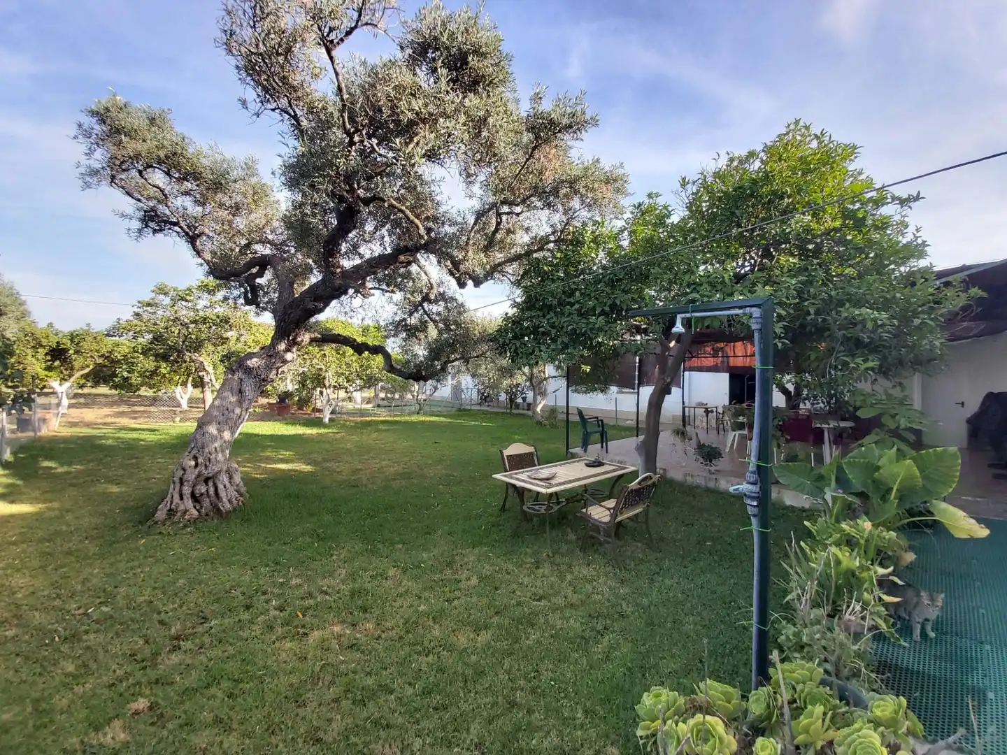 Jardín de Casa o chalet en venta en Utrera con Aire acondicionado, Jardín privado y Trastero