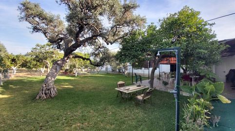 Foto 2 de Casa o chalet en venta en Pedanías Norte, Utrera