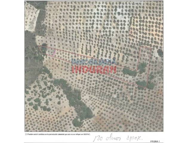 Casa-chalet en Venta en Castañar de Ibor