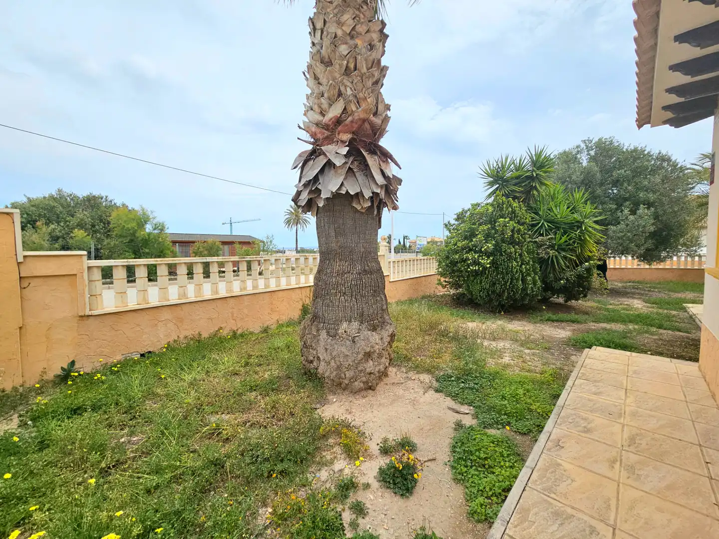 Detached house with garden for sale in La Marina, imagen 30