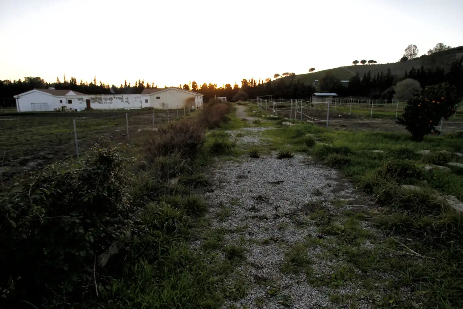 Maison rustique à vendre à San Martín del Tesorillo, imagen 25