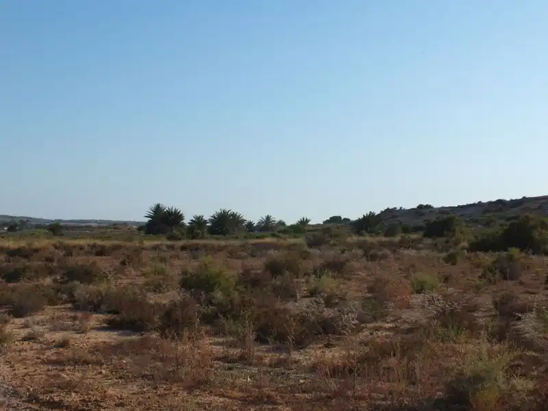 Rustikales Grundstück zum Verkauf in Los Arenales del Sol, imagen 15