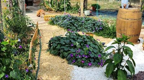 Photo 3 of House or chalet for sale in Barxa, Celanova, Ourense